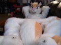 1218850845.fuskerz_fusky2small.jpg